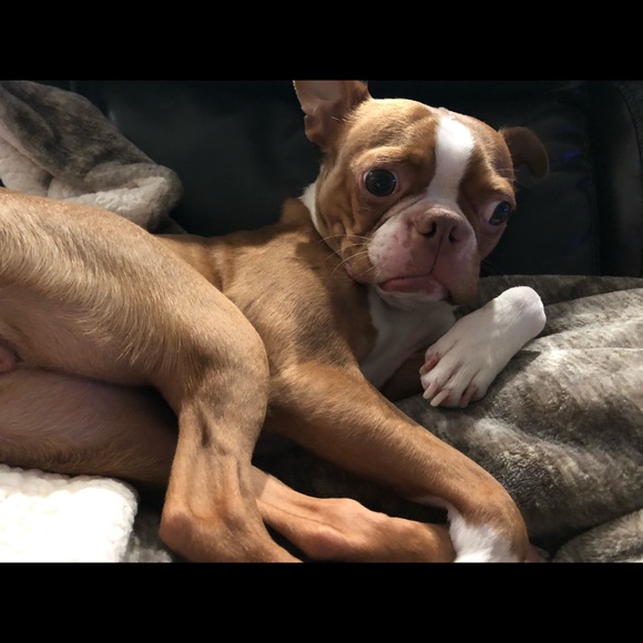 Meet your Posher, Raylene - Picture 1 of 5